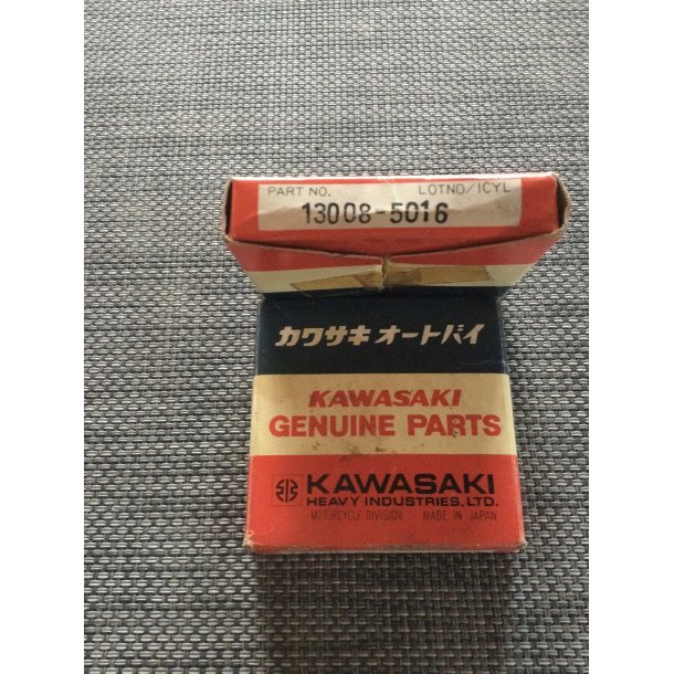 Kawasaki 13008-5016